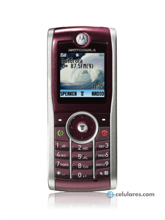 Imagen 2 Motorola W209