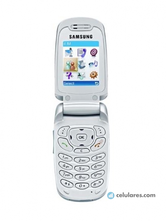 Samsung SGH-T209