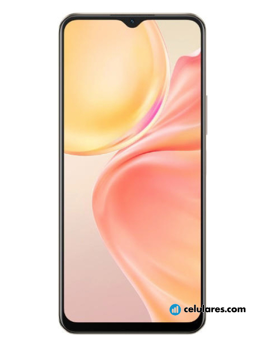 Vivo Y73t